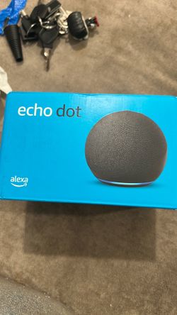 Echo dot alexa play