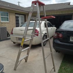6 Ft Ladder