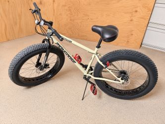Fat tire bike