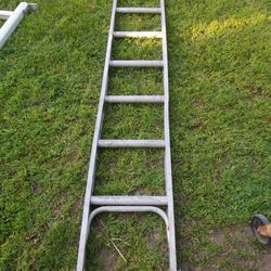 Ladder 8ft