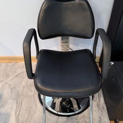 Professional Salon Chair
