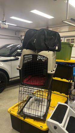 Pet Crates and Soft Carrier