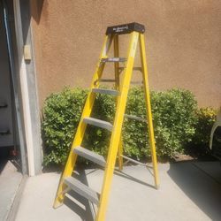Werner 6 Foot Fiberglass Ladder