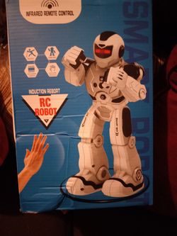 Rc Robot Rechargable 