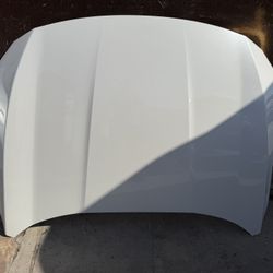 HONDA ACCORD HOOD OEM 2018 -2022 