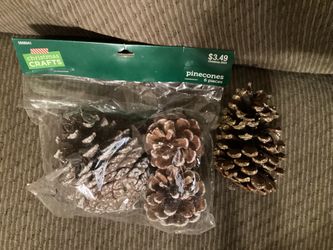 Four Pinecones