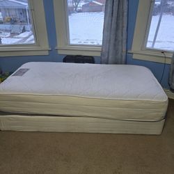 Twins Box spring And Bed.