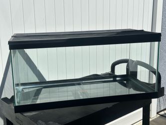 40 Gallon Breeder Aquarium • Leak-Free Tempered Glass