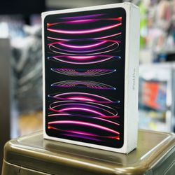 iPad Pro 11in 4th Gen