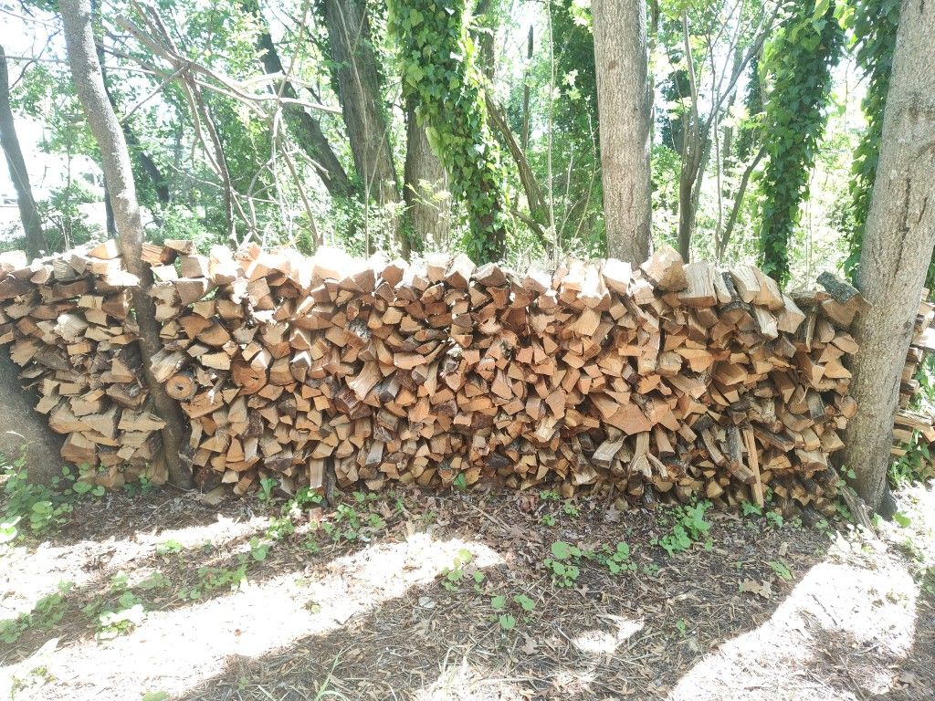 Firewood