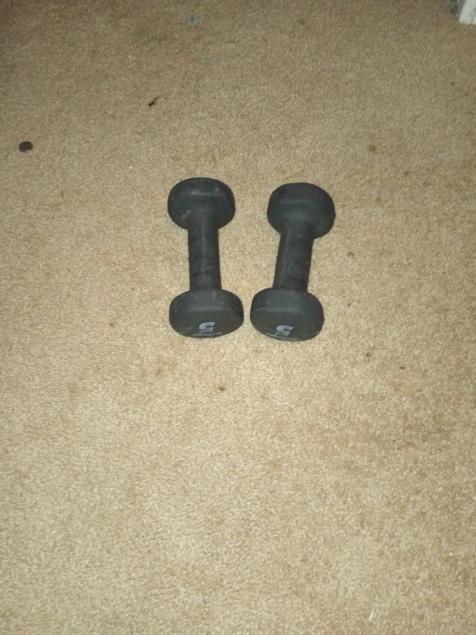 Pair Of 5 Lb Dumbbells