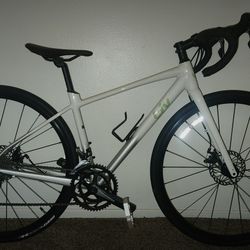 Giant Liv Road Bike 