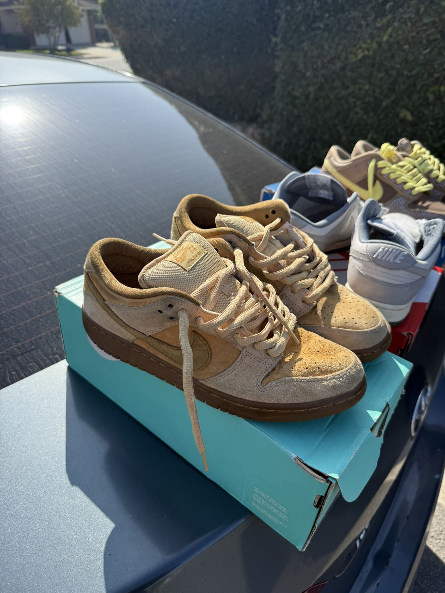 Reverse Reese Wheat Sz9 $175