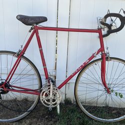 Vintage Sekai Road Bike