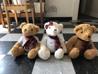 New bears