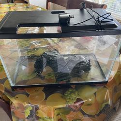 Aqua Culture Fish Tank 10 Gallon 