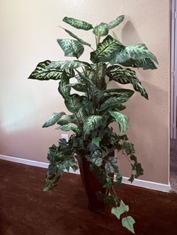 Artificial Dieffenbachia