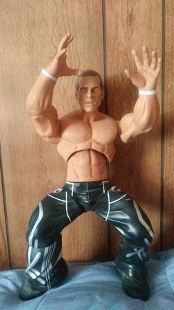 Wrestling Action Figure