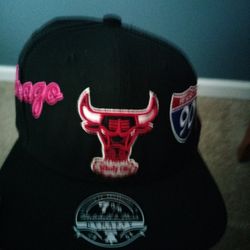 Brand New Fitted Bulls Hat