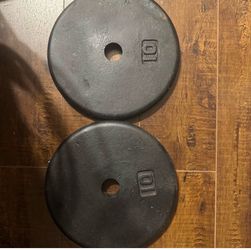 2x10 lbs weights 20lbs for dumbbell exercise  Pair of 10 lb Cast Iron Weight Plates – Solid, Matched Pair Up for sale is a solid matched pair of 10 lb