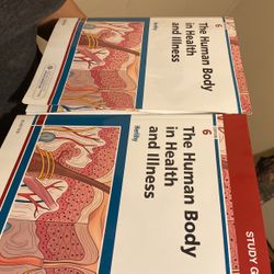 The Human Body In Health And Illness