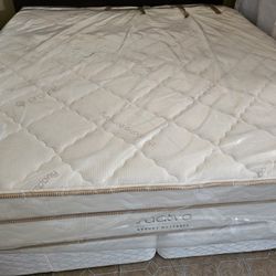Saatva King Luxury Mattress And Box Spring 🌙 