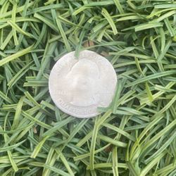Error Coin