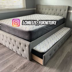 Fulltwin grey Frenchi double with ortho Matres!!