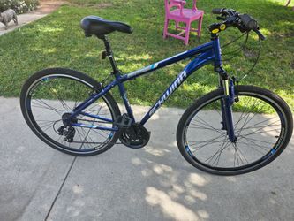 Schwinn trailway Bicycle