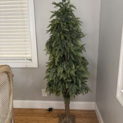 Fake Decorative Plant - Has Plug In Lights (Xmas)
