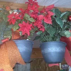 Hanging Xmas Patio Flowers 