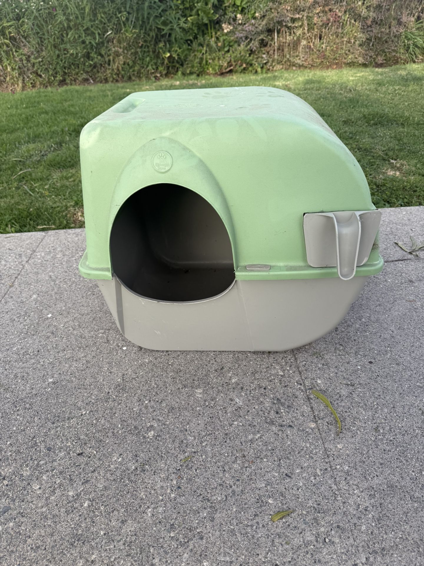 Cat Litter
