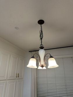 Chandelier Light Fixture