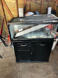 Fish tank and stand