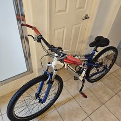 Mountain Bike