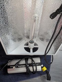 HPS lights 600w vivosun