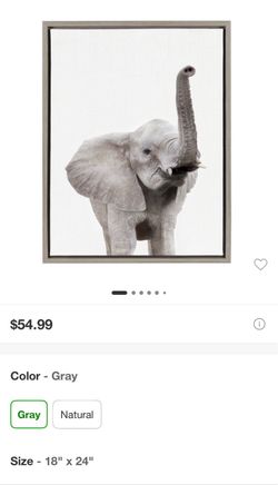 Elephant Canvas Wall Art Gray Frame 18x24