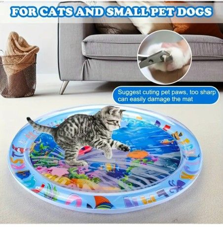 Cat Small Dog Toy