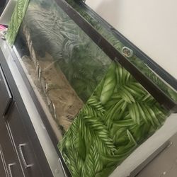 Reptile tank