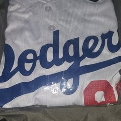 Joe kelly jersey.