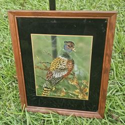 Vintage Beautiful Pheasant  Painting On Glass  Wood Frame 