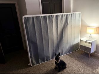Queen 8in Box Spring