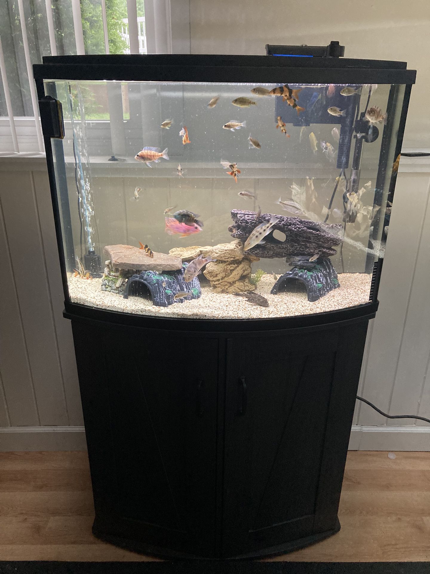 36 Gallon Tank With Stand And Filter