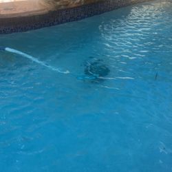 Pool Cleaner 