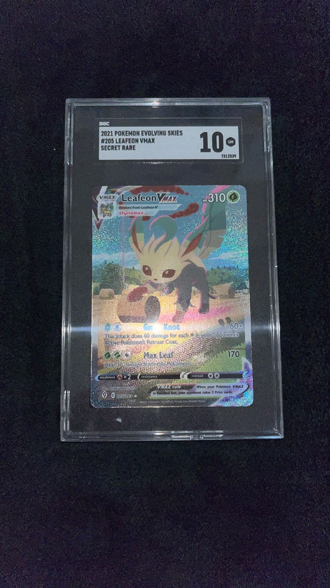 Pokémon Leafeon 205