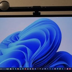 LG 29” Ultrawide Monitor (29UM58-P) – IPS 21:9 Display – Great for Work & Gaming