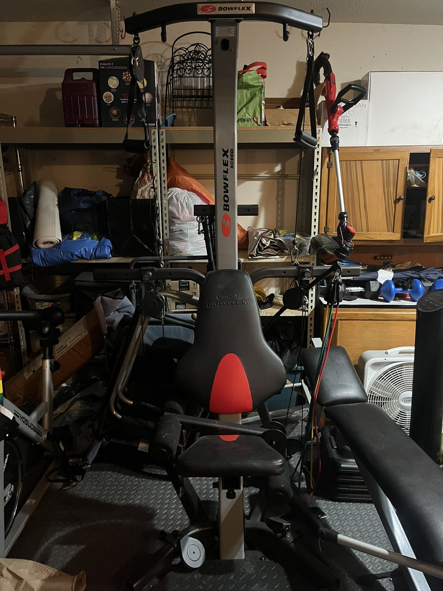 Bowflex Workout Machine