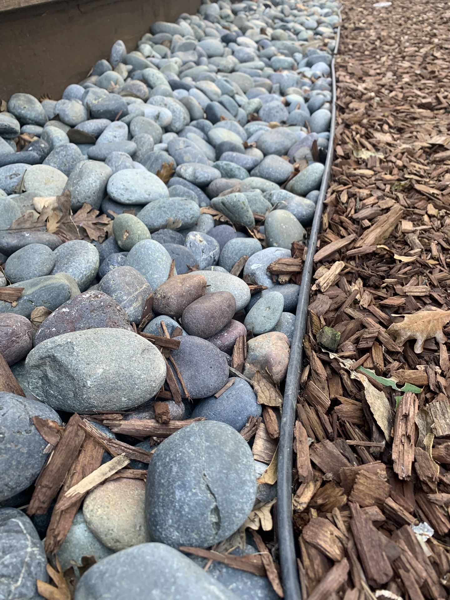 Mexican pebble Black