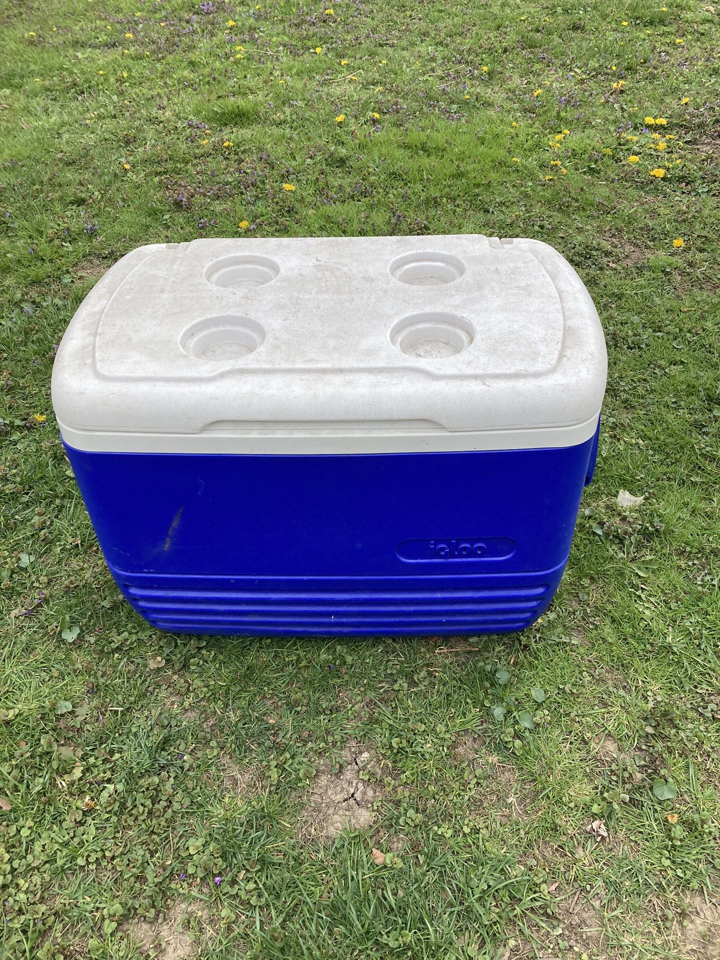 IGLOO Camp Cooler