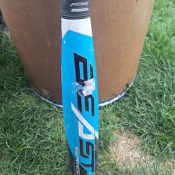 Easton Beast Speed Hybrid -10 USA Baseball Bat, 31/21